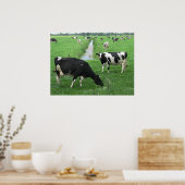 Poster de vaches laitières néerlandaises Imprimer  (Cuisine)