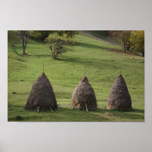 Poster de valeur Bales de paille en papier (Devant)