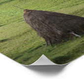 Poster de valeur Bales de paille en papier (Coin)