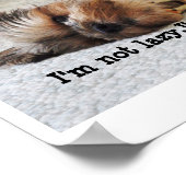 Poster de valeur "Je ne suis pas paresseux" (Coin)