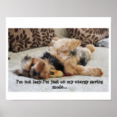 Poster de valeur "Je ne suis pas paresseux" (Devant)