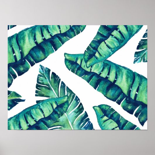 Poster de verre tropical 16x12 (Devant)