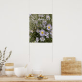 Poster de Violet Asters (Cuisine)