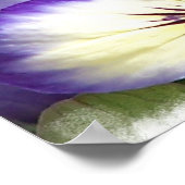 Poster de violon blanc et violet (Coin)