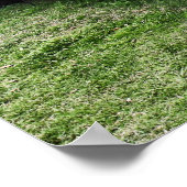 Poster de voiture rouille vieille voiture (Coin)