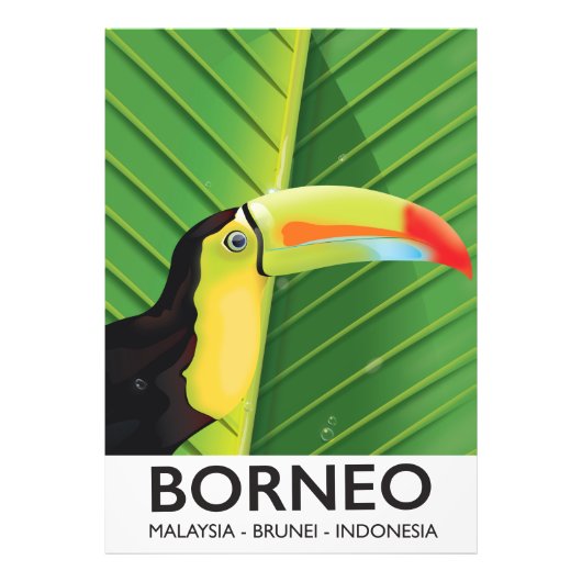 Poster de voyage Bornéo Toucan (Devant)