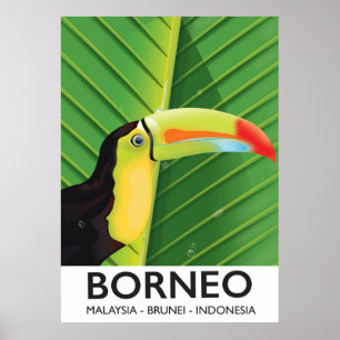 Poster de voyage Bornéo Toucan