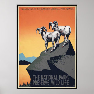 Poster de voyage des moutons du parc national vint
