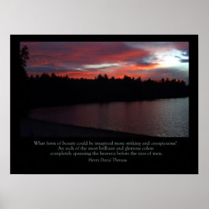 Poster de Walden Pond - Love Note to the Sky