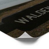 Poster de Walden Pond - Mist contemplatif (Coin)