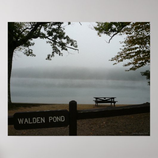 Poster de Walden Pond - Mist contemplatif (Devant)