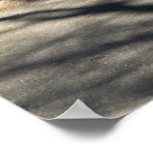 Poster de Walking Bridge (Coin)