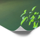 Poster de Waterfall Woods (Coin)