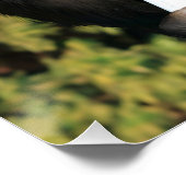 Poster de WC amusant (Coin)