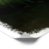 Poster de We the Sheeple (Coin)