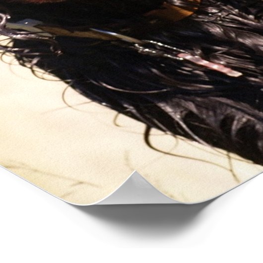 Poster de Wet Gordon Setter (Coin)