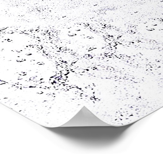 Poster de Whitewater Kayaking (Coin)