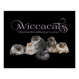 Poster de WiccaCats
