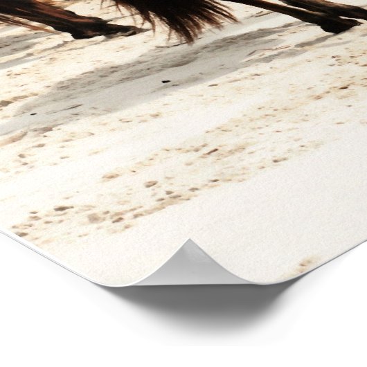 Poster de Wild Ponies (Coin)