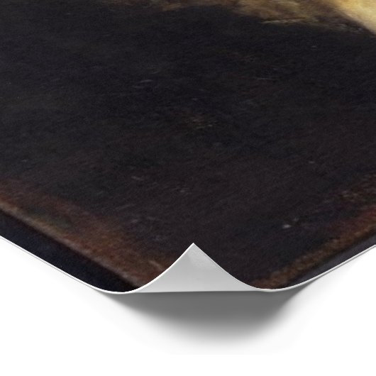 Poster de William Cullen Bryant (Coin)