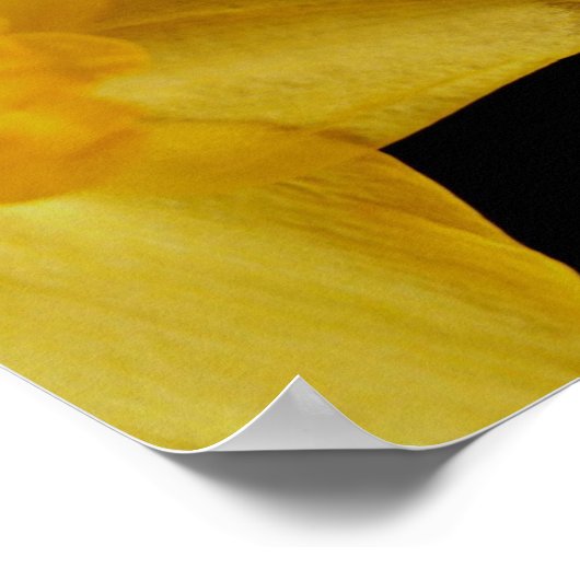 Poster de William Wordsworth Daffodils (Coin)