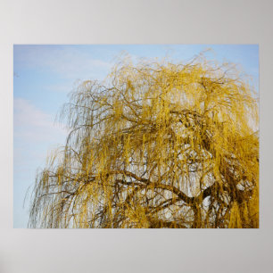 Poster de Willow