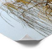 Poster de Willow en pleurs (Coin)