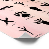 Poster de Woodland Tracks (Coin)