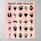 Poster de Woodland Tracks (Devant)