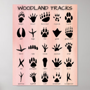 Poster de Woodland Tracks