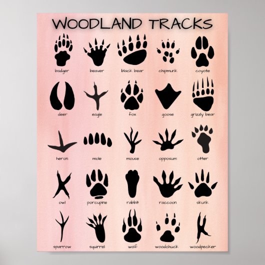 Poster de Woodland Tracks (Devant)