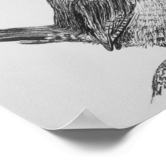 Poster de Wren Bird Art (Coin)