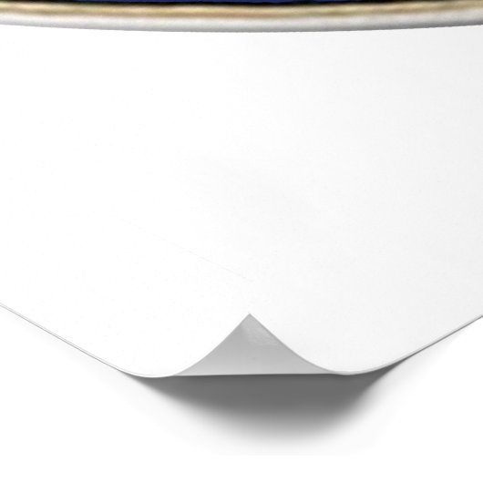 Poster de Xray Tech In Training (Coin)