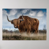 Poster de Yak (Devant)