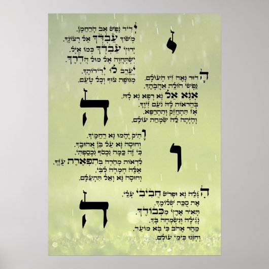 Poster de Yedid Nefesh (Devant)