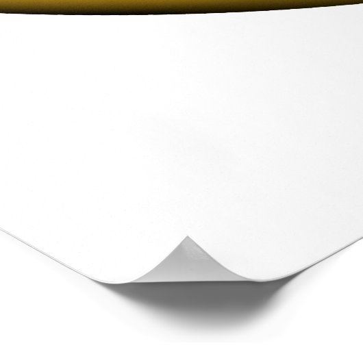 Poster de YinYang (Coin)