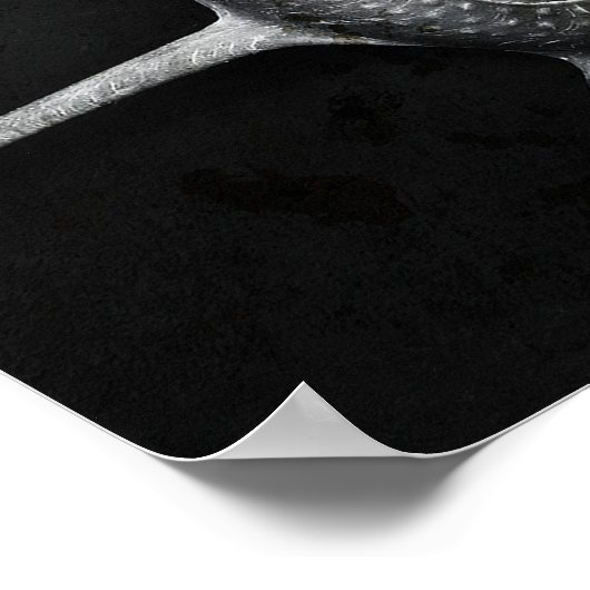 Poster de Yoka Shell (Coin)