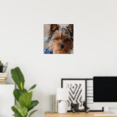 Poster de Yorkie Terrier (Bureau à domicile)