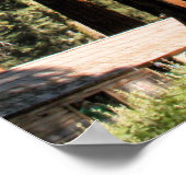 Poster de Yosemite Sequoias (Coin)