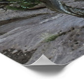 Poster Dead Horse Point (Coin)