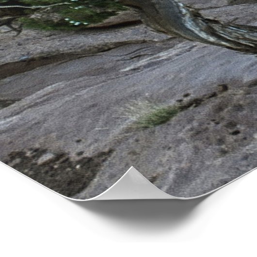 Poster Dead Horse Point (Coin)