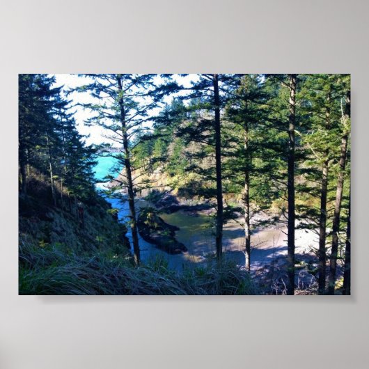 Poster Dead Man's Cove, Cape Disdéception, WA (Devant)