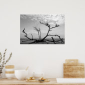 Poster Dead Wood (Cuisine)