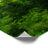 Poster Deadman's Hill Overlook, Michigan (Coin)