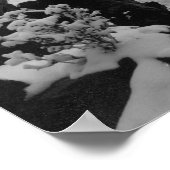 Poster Deadwood vu depuis White Rocks Photo (Coin)