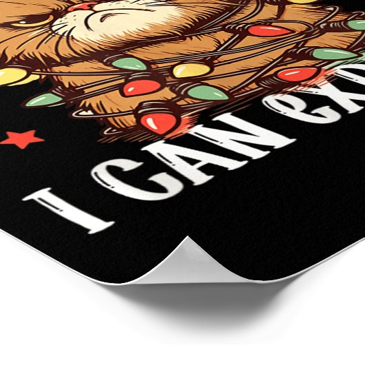 Poster Dear Santa I Can Explain The Cat Did It Funny Chri (Coin)