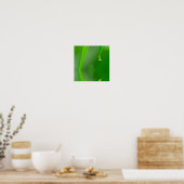 Poster d'eau (Cuisine)