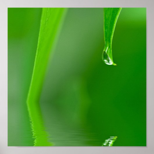 Poster d'eau (Devant)
