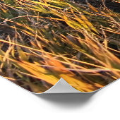 Poster Débrancher Rake (Coin)