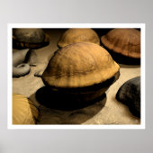 Poster Début (Devant)